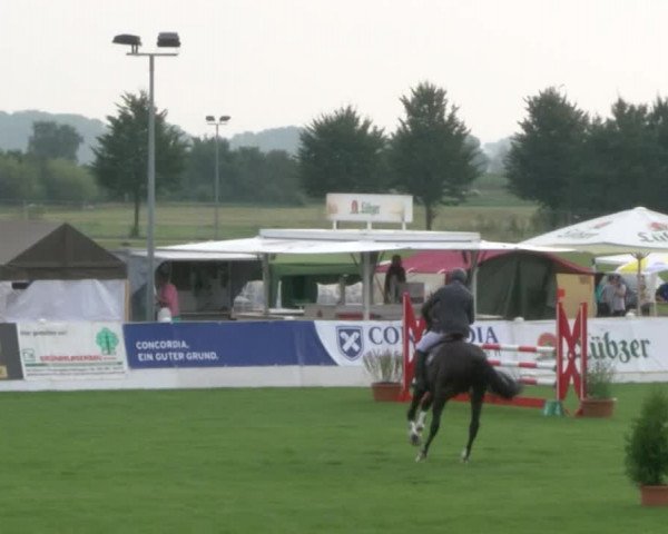 Reitturnier Mühlengeez 2017