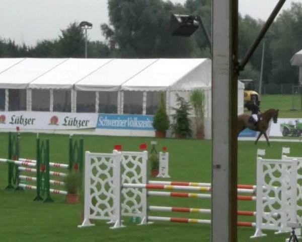 Reitturnier Mühlengeez 2017