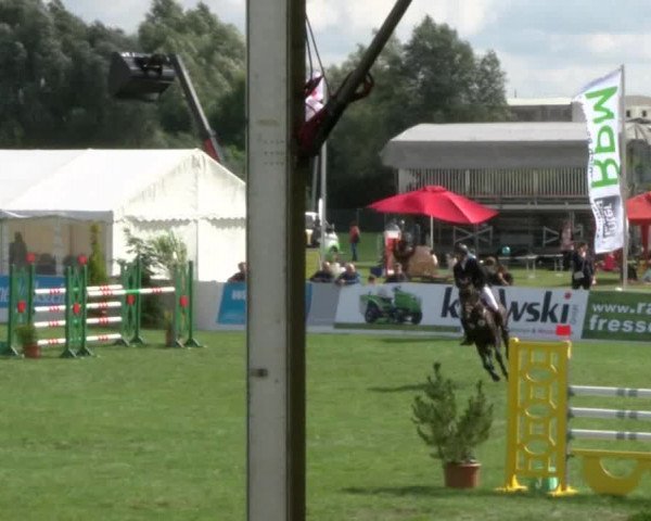 Reitturnier Mühlengeez 2017
