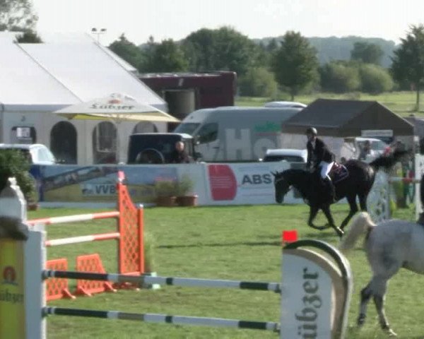 Reitturnier Mühlengeez 2017