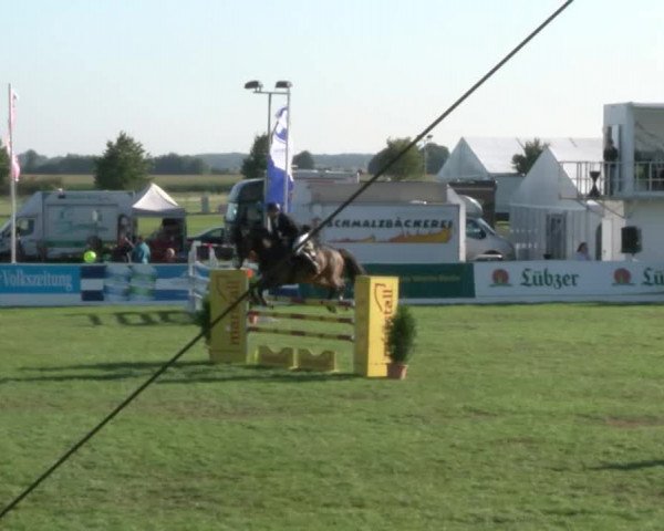 Reitturnier Mühlengeez 2017