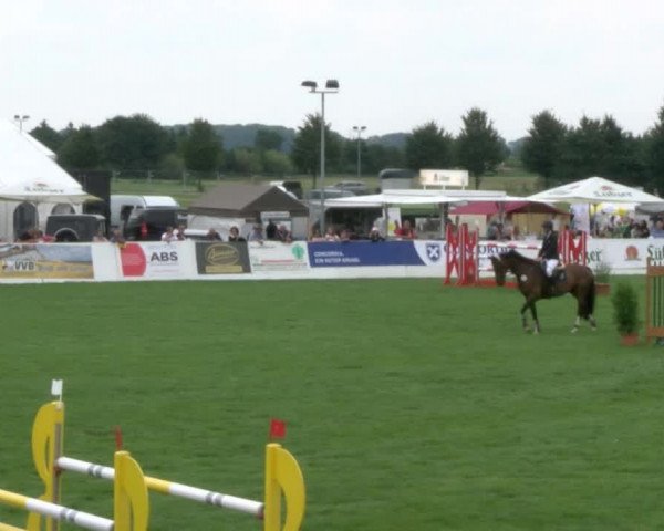 Reitturnier Mühlengeez 2017