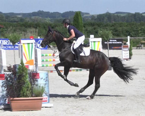 Reitturnier Illertissen 2017