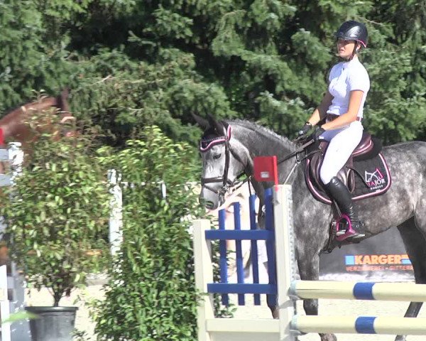 Reitturnier Illertissen 2017