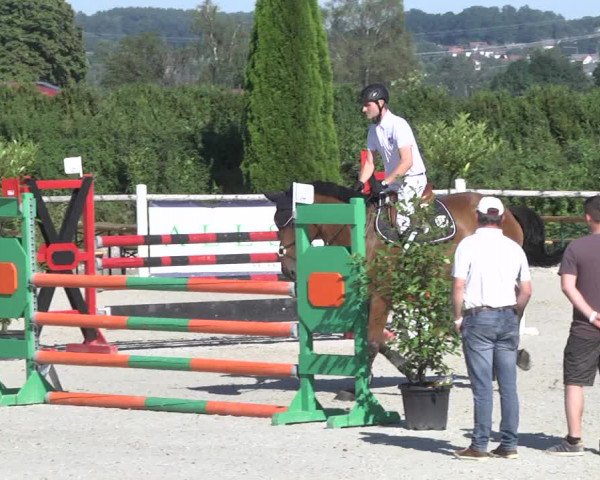 Reitturnier Illertissen 2017