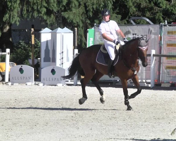 Reitturnier Illertissen 2017