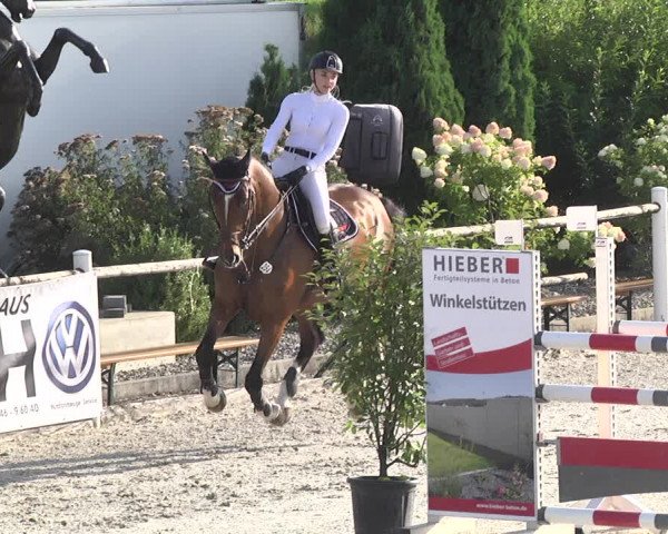 Reitturnier Illertissen 2017