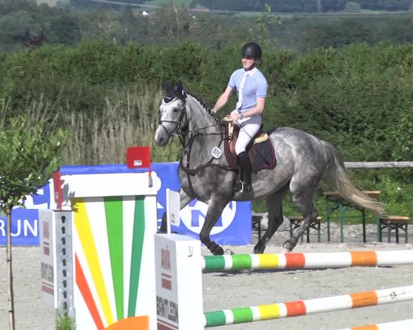 Reitturnier Illertissen 2017