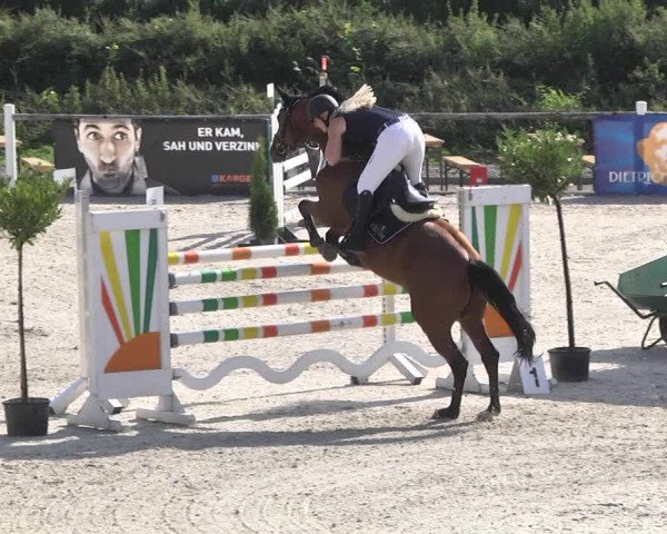 Reitturnier Illertissen 2017