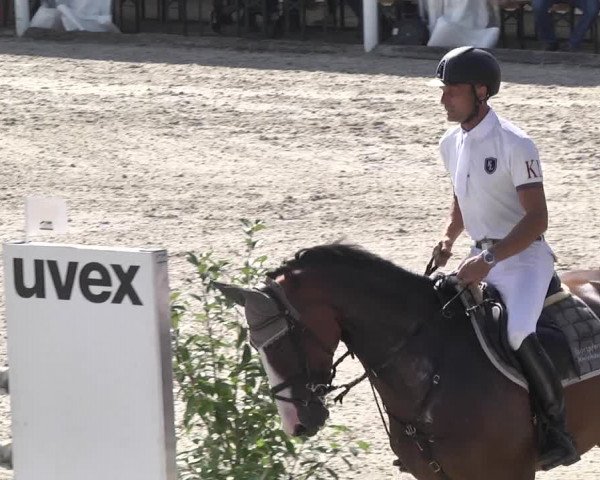 Reitturnier Illertissen 2017
