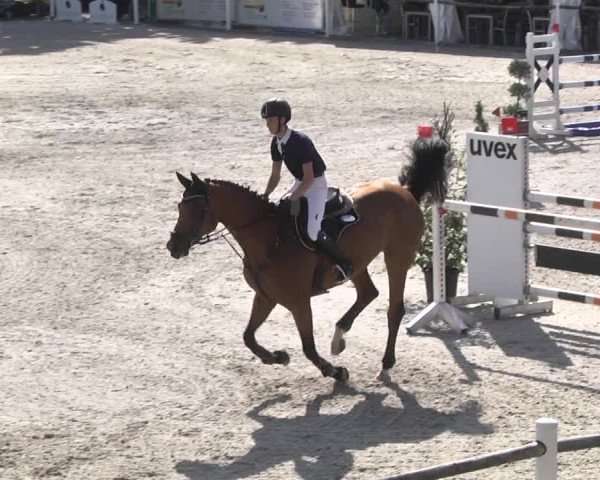 Reitturnier Illertissen 2017
