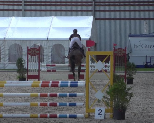 Reitturnier Zweibrücken 2017