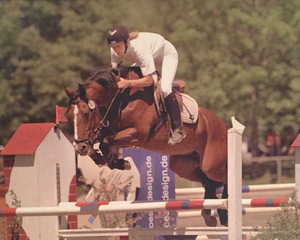 horse Wiwien 2 (Oldenburg, 1990, from Walentino)