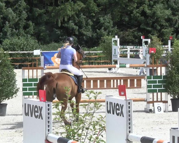 Reitturnier Illertissen 2017