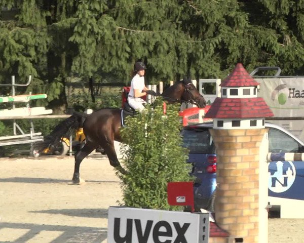 Reitturnier Illertissen 2017