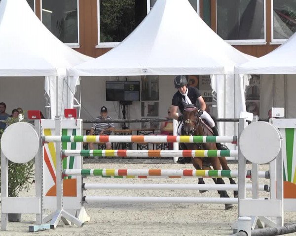 Reitturnier Illertissen 2017