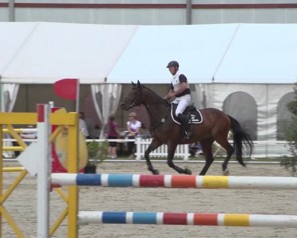 Reitturnier Zweibrücken 2017