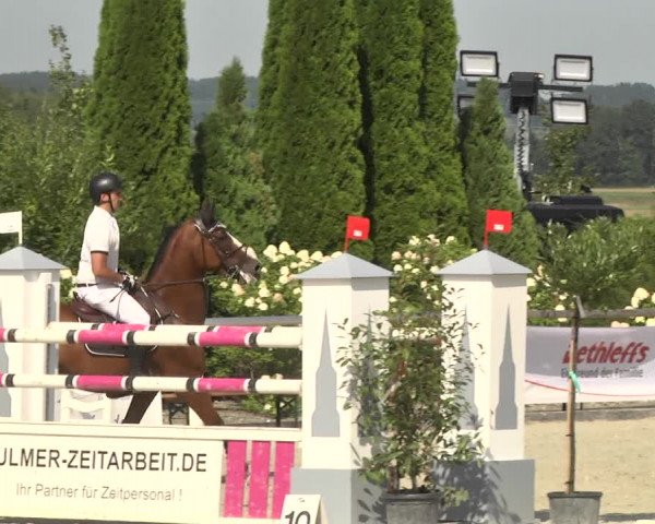 Reitturnier Illertissen 2017