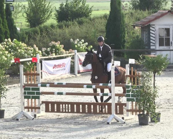 Reitturnier Illertissen 2017