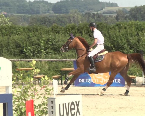 Reitturnier Illertissen 2017