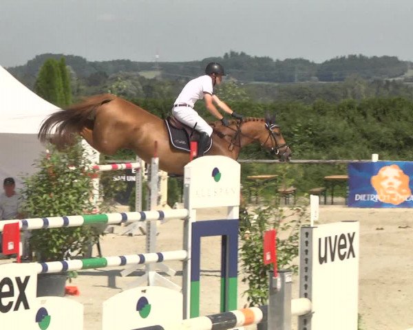 Reitturnier Illertissen 2017