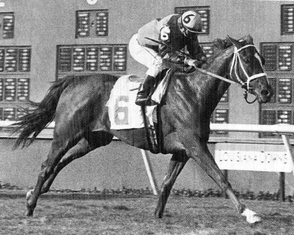 broodmare Blush With Pride xx (Thoroughbred, 1979, from Blushing Groom xx)
