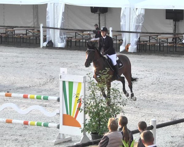 Reitturnier Illertissen 2017