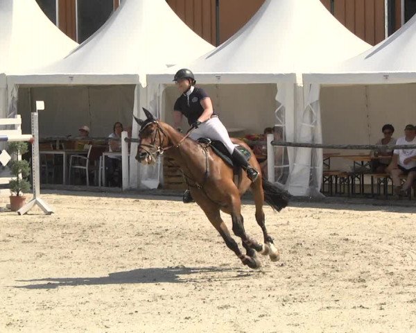 Reitturnier Illertissen 2017