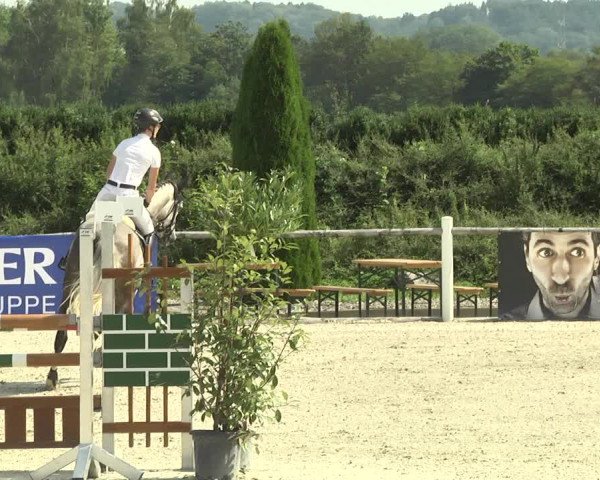 Reitturnier Illertissen 2017