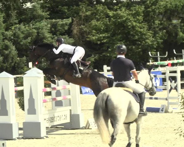 Reitturnier Illertissen 2017