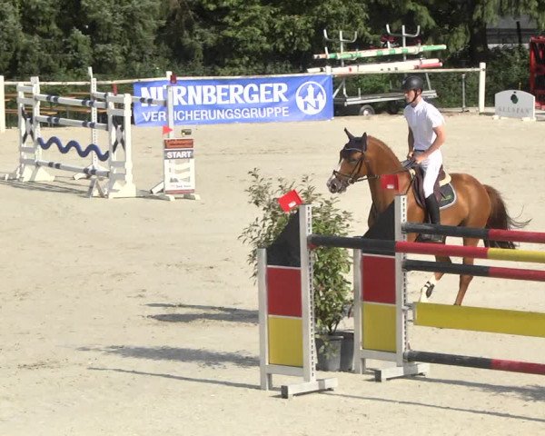 Reitturnier Illertissen 2017