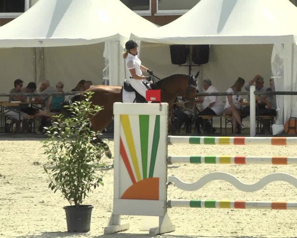 Reitturnier Illertissen 2017