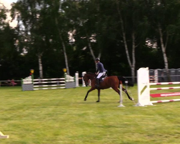Reitturnier Berlin-Malchow 2017