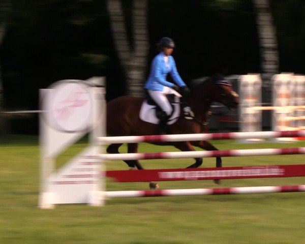 Reitturnier Berlin-Malchow 2017