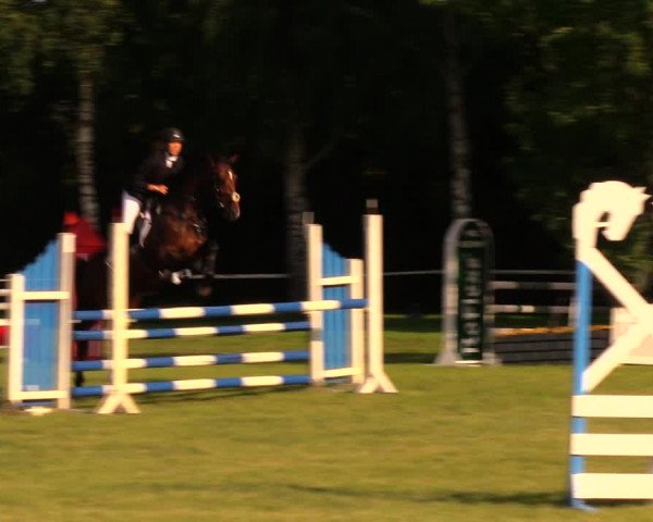 Reitturnier Berlin-Malchow 2017