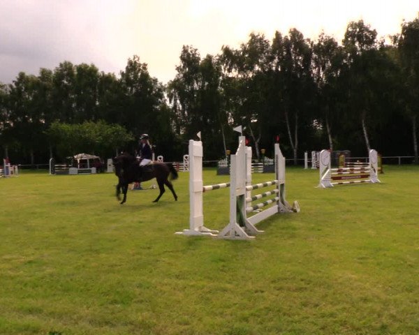Reitturnier Berlin-Malchow 2017