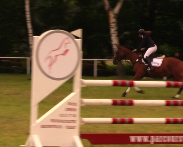 Reitturnier Berlin-Malchow 2017