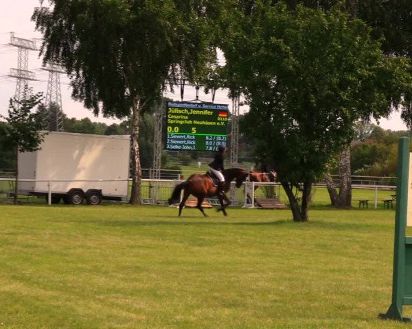 Reitturnier Berlin-Malchow 2017