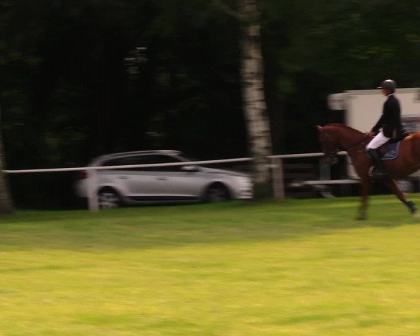 Reitturnier Berlin-Malchow 2017