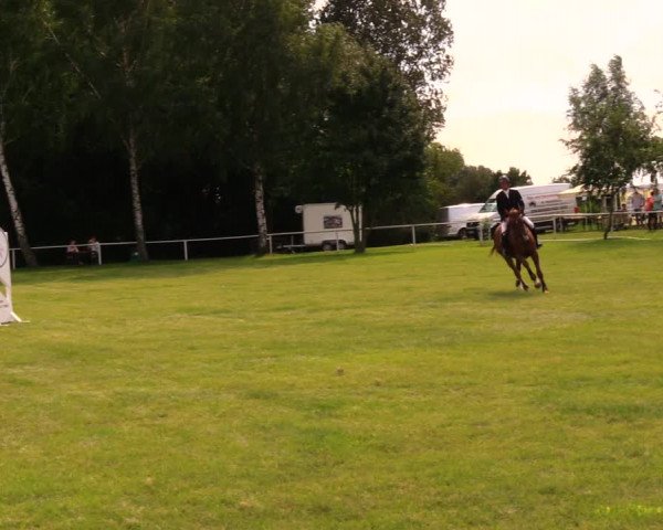 Reitturnier Berlin-Malchow 2017