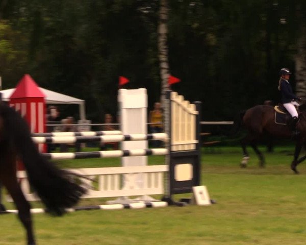 Reitturnier Berlin-Malchow 2017