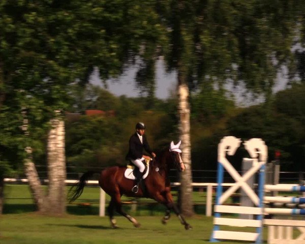 Reitturnier Berlin-Malchow 2017