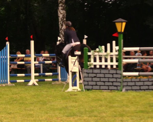 Reitturnier Berlin-Malchow 2017