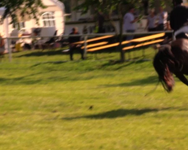 Reitturnier Berlin-Malchow 2017