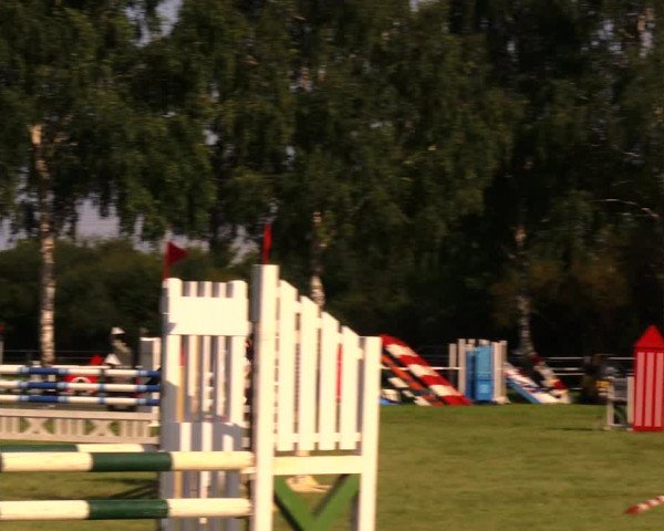 Reitturnier Berlin-Malchow 2017