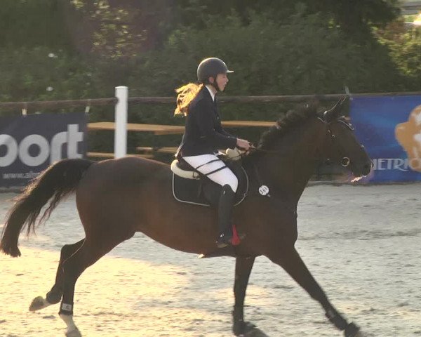 Reitturnier Illertissen 2017