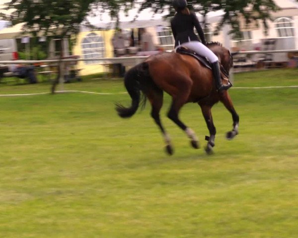 Reitturnier Berlin-Malchow 2017