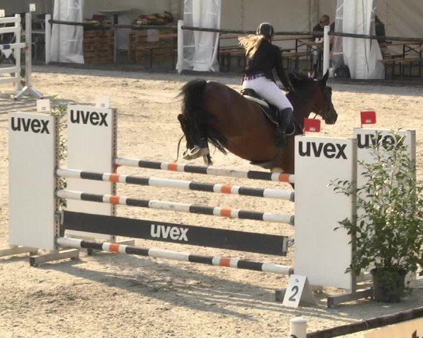 Reitturnier Illertissen 2017