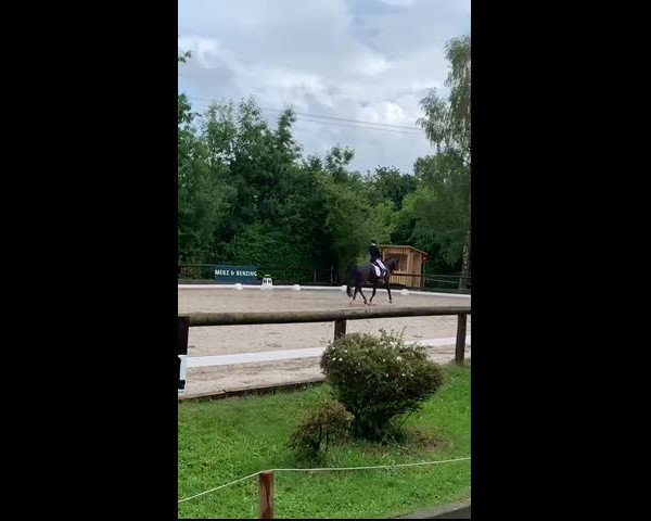 Reitturnier Leonberg 2021