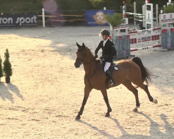 Reitturnier Illertissen 2017